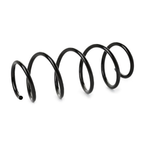 Ridex 188C1053 Coil Spring, photo 2