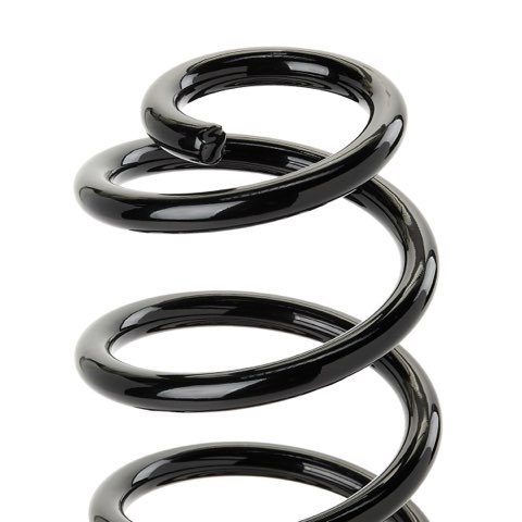 Ridex 188C1057 Coil Spring, photo 3