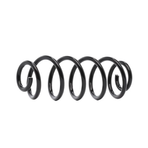 Ridex 188C1061 Coil Spring