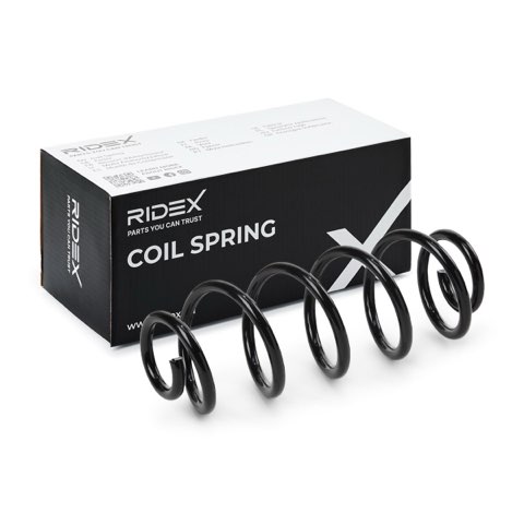 Ridex 188C1061 Coil Spring, photo 2