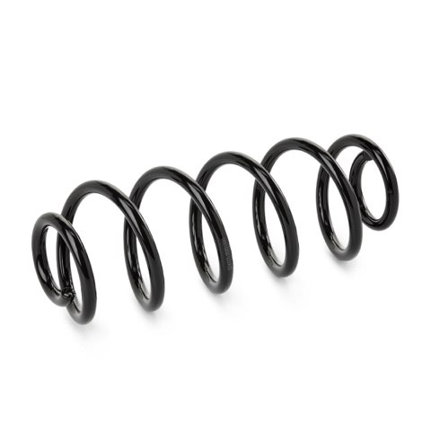 Ridex 188C1062 Coil Spring, photo 2