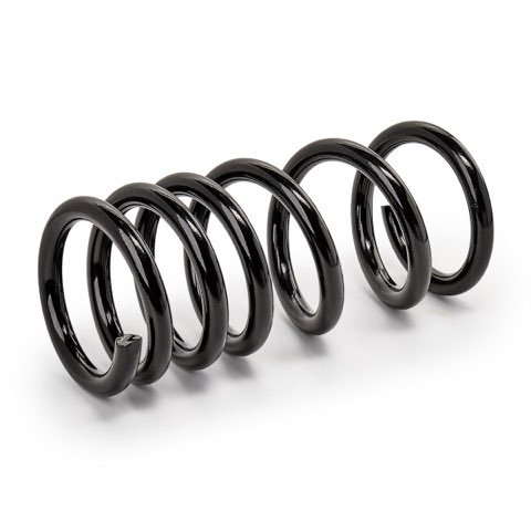 Ridex 188C1067 Coil Spring, photo 2