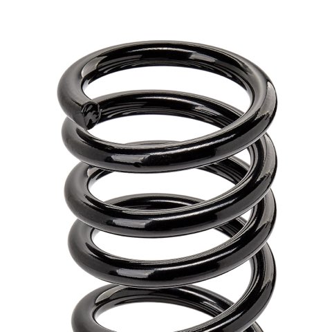 Ridex 188C1067 Coil Spring, photo 3