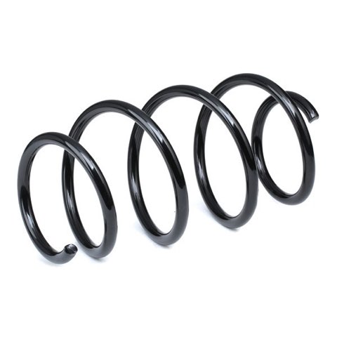 Ridex 188C1083 Coil Spring, photo 3