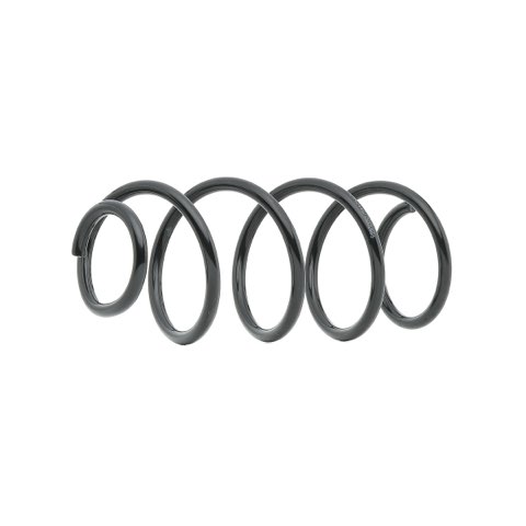 Ridex 188C1087 Coil Spring
