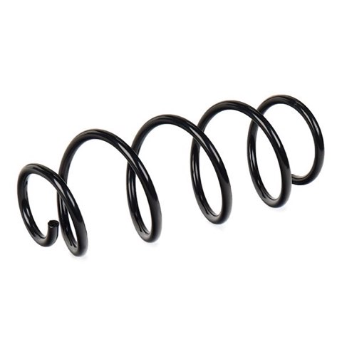 Ridex 188C1087 Coil Spring, photo 3