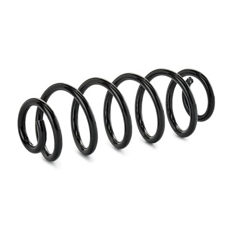 Ridex 188C1089 Coil Spring, photo 2