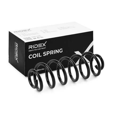 Ridex 188C1093 Coil Spring
