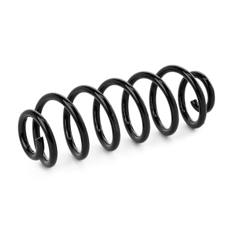 Ridex 188C1093 Coil Spring, photo 2