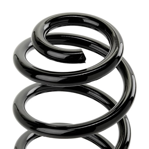 Ridex 188C1093 Coil Spring, photo 3