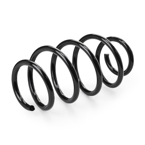 Ridex 188C1103 Coil Spring, photo 3