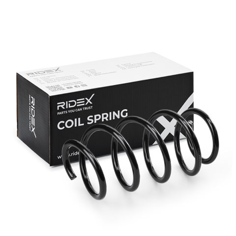 Ridex 188C1132 Coil Spring, photo 2