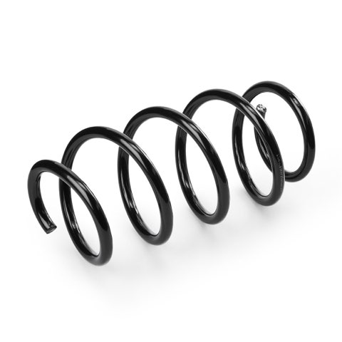 Ridex 188C1132 Coil Spring, photo 3