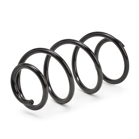 Ridex 188C1135 Coil Spring, photo 2