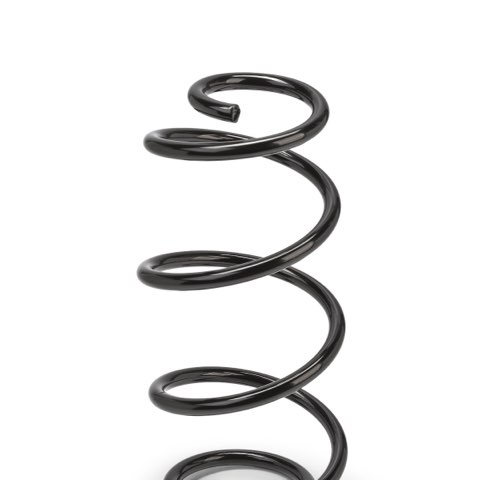 Ridex 188C1135 Coil Spring, photo 3