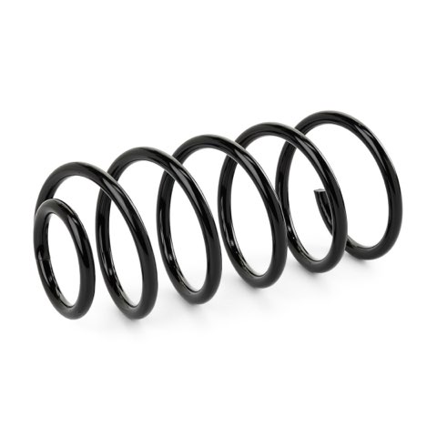 Ridex 188C1152 Coil Spring, photo 2