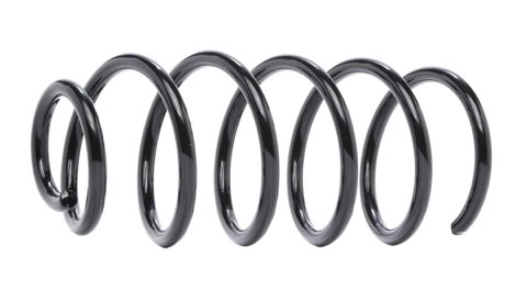 Ridex 188C1153 Coil Spring