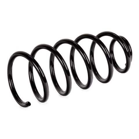 Ridex 188C1153 Coil Spring, photo 3