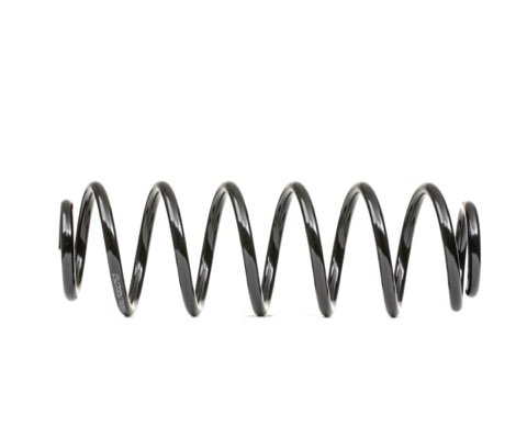 Ridex 188C1168 Coil Spring