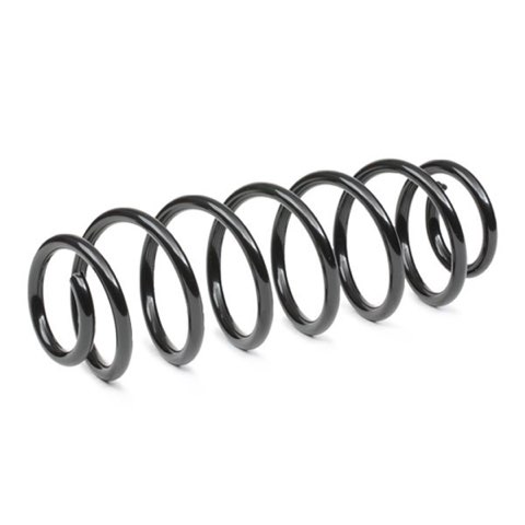 Ridex 188C1168 Coil Spring, photo 3