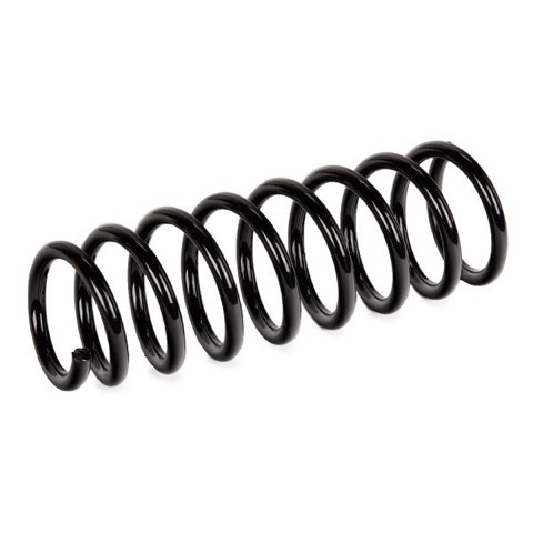 Ridex 188C1173 Coil Spring, photo 3