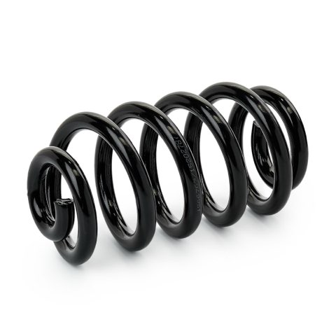 Ridex 188C1178 Coil Spring, photo 3