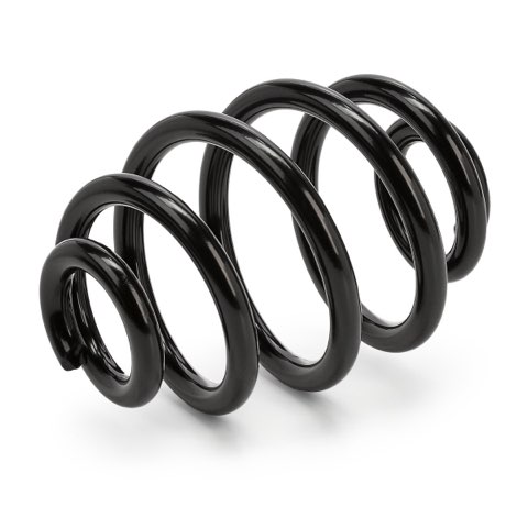 Ridex 188C1184 Coil Spring, photo 2