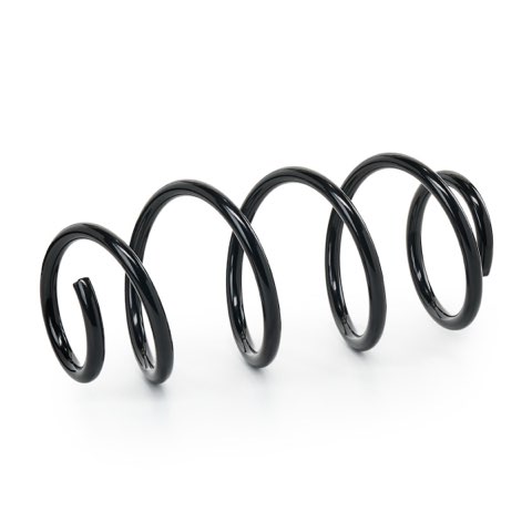 Ridex 188C1207 Coil Spring, photo 2