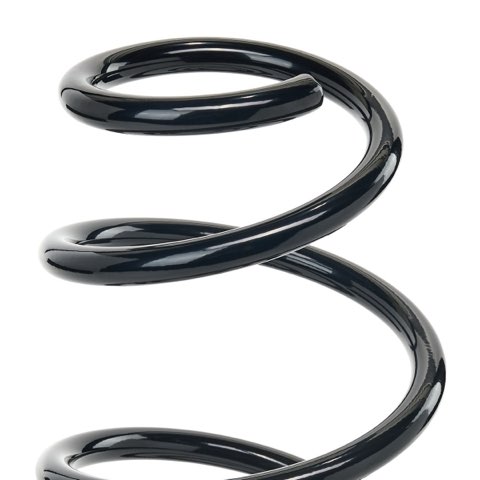 Ridex 188C1207 Coil Spring, photo 3