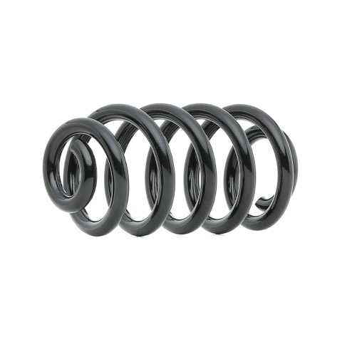 Ridex 188C1212 Coil Spring