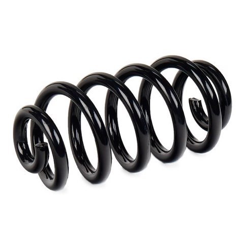 Ridex 188C1212 Coil Spring, photo 3