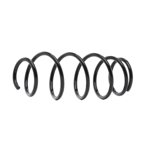 Ridex 188C1231 Coil Spring