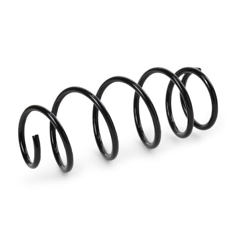 Ridex 188C1231 Coil Spring, photo 3