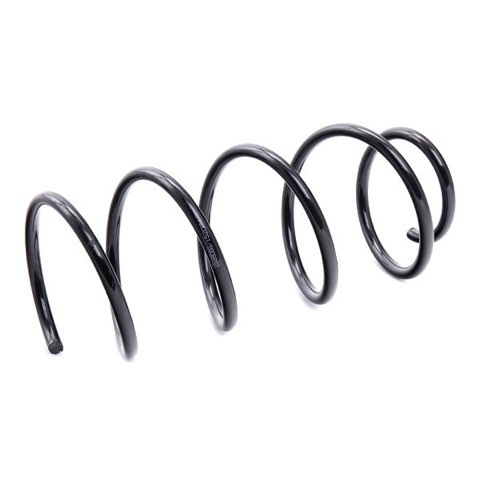 Ridex 188C1238 Coil Spring, photo 3