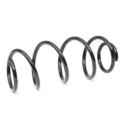 Ridex 188C1246 Coil Spring, photo 3