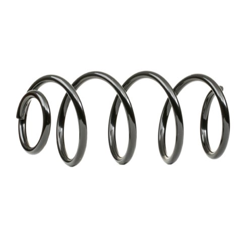 Ridex 188C1255 Coil Spring