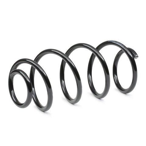 Ridex 188C1255 Coil Spring, photo 3