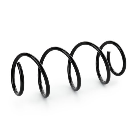 Ridex 188C1258 Coil Spring, photo 3