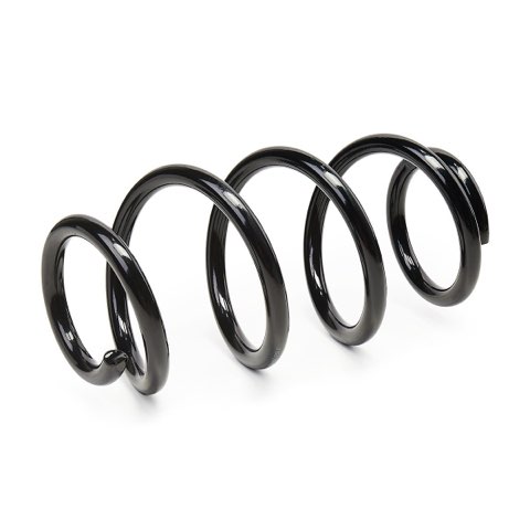 Ridex 188C1261 Coil Spring