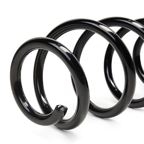 Ridex 188C1261 Coil Spring, photo 2