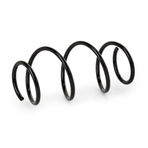 Ridex 188C1263 Coil Spring, photo 2