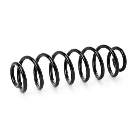 Ridex 188C1271 Coil Spring, photo 2