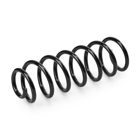 Ridex 188C1282 Coil Spring, photo 3