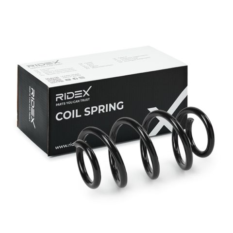 Ridex 188C1289 Coil Spring, photo 2