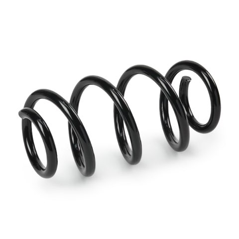 Ridex 188C1289 Coil Spring, photo 3