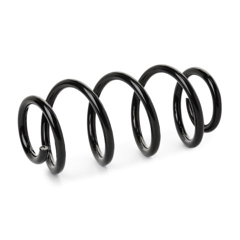 Ridex 188C1291 Coil Spring, photo 2