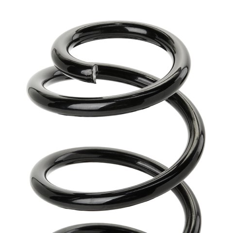 Ridex 188C1291 Coil Spring, photo 3
