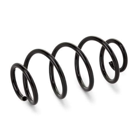 Ridex 188C1293 Coil Spring, photo 2
