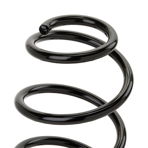 Ridex 188C1293 Coil Spring, photo 3