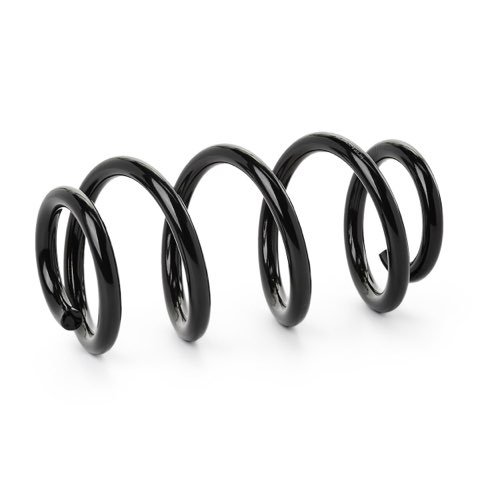 Ridex 188C1294 Coil Spring, photo 2